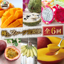 【ふるさと納税】【6回定期便】豊見城 極上フルーツ定期便(全6回)｜フルーツ くだもの 果物 沖縄フルーツ マンゴー バナナ パッションフルーツ アテモヤ アップルマンゴー ドラゴンフルーツ キーツマンゴー 定期便 フルーツ定期便 沖縄県 豊見城市 人気 送料無料(AC023)