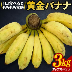 �ԗ�i�摜