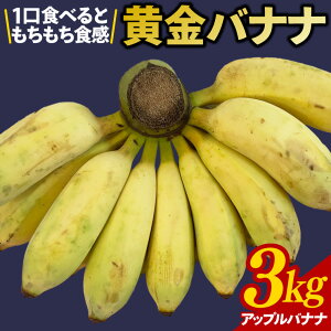 yӂ邳Ɣ[ŁzoiiiAbvoiij3kg(CF001-1)