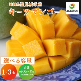 【ふるさと納税】【2026年8月より順次発送】【選べる内容量】菜々色畑のキーツマンゴー 1～2玉(約900g) or 2～3玉(約2kg)【化粧箱】｜マンゴー キーツマンゴー フルーツ 果物 くだもの おきなわマンゴー 先行予約 ギフト 贈り物 化粧箱入り 沖縄県 豊見城市 送料無料(AE014)