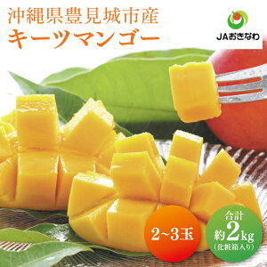 yӂ邳Ɣ[Łzy2026N8菇zyIׂeʁzL[c}S[ 1`2(900g) or 2`3(2kg)yϔzb}S[ L[c}S[ t[c ʕ  Ȃ}S[ 