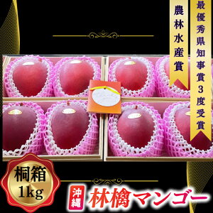 yӂ邳Ɣ[Łzy2026N6{菇zʌ聚ꌧŗDGm܂3xPI˔}S[ 1kg(500g×2)b}S[ t[c ʕ  s\ 