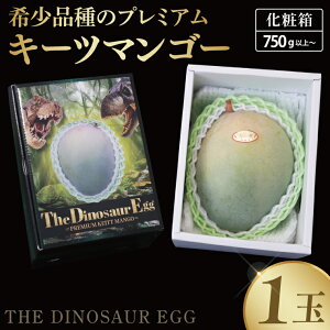 yӂ邳Ɣ[Łzy2026N8菇zyTHE Dinosaur Eggzv~AL[c}S[ 1(750gȏ)b}S[ L[c}S[ t[c ʕ  s\ 蕨 v[g yY