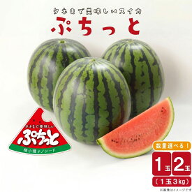 【ふるさと納税】【選べる内容量】【2026年発送】タネまで食べられる？！ タネまで美味しいスイカ「ぷちっと」約3kg（1玉）or約6kg（2玉）｜ 期間限定 贈り物 贈答用 ギフト ふるさと納税 果物 スイカ フルーツ すいか 送料無料(CI001)