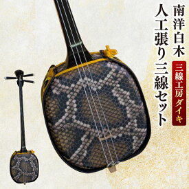 【ふるさと納税】「三線工房ダイキ」南洋白木　人工張り三線セット｜三線 沖縄 楽器 音楽 日本 初心者 セット 初心者セット 三線工房 沖縄三線 おきなわ 送料無料 豊見城市(CU001)