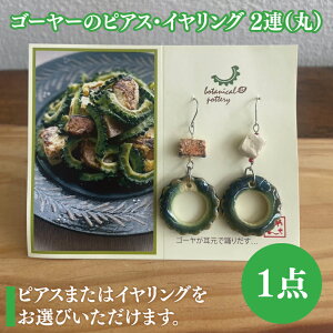 【ふるさと納税】【選べる】ゴーヤーのピアスorイヤリング 2連|ピアス イヤリング アクセサリー ゴーヤー セット 沖縄 沖縄県 豊見城市 送料無料(DD013)
