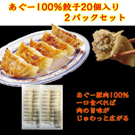 【ふるさと納税】沖縄そばセット&あぐー100％餃子（2パックセット）