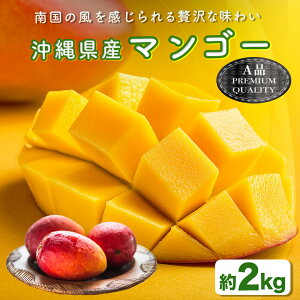 【ふるさと納税】ハナトフルーツ 沖縄県産マンゴーA品 2kg 【 先行予約 2026年発送 】マンゴー 濃厚 甘い ジューシー 沖縄 うるま市 フルーツ 果物 産地直送 プレゼント 贈り物 国産 お取り寄