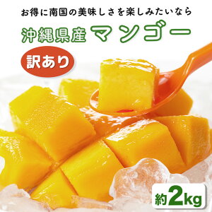 yӂ邳Ɣ[Łzy s\ 2026N znigt[c ꌧY 󂠂}S[2kg }S[  ܎s t[c ʕ Yn v[g 蕨 Y 