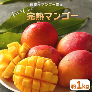 yӂ邳Ɣ[Łzy s\ 2026N zn}S[ 1kg ꌧY }S[ 1L Y ʕ 썑  t[c n  { Yi   Yn _ƒ Â Z  