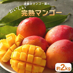 yӂ邳Ɣ[Łzy s\ 2026N zn}S[ 2kg}S[ 2L Y ʕ 썑  t[c n  { Yi   Yn _ƒ Â Z ꌧ ܎s 