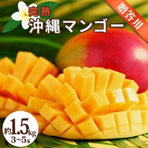 【ふるさと納税】贈答用マンゴー 1.5kg【 先行予約 2026年発送 】マンゴー 濃厚 甘い ジューシー 南国 フルーツ 果物 産地直送 プレゼント 贈り物 国産 お取り寄せ 沖縄 うるま市