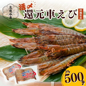 yӂ邳Ɣ[ŁzYҌԂсi}ⓀE500gjyGiWbNԊCV{Bz }Ⓚ ꌧY  Gr ԊCV ԃGr {B j  ܎s