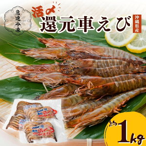 yӂ邳Ɣ[ŁzYҌԂсi}ⓀE1KgjyGiWbNԊCV{Bz }Ⓚ ꌧY  Gr ԊCV {BCV j  ܎s