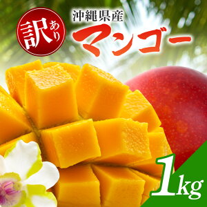 yӂ邳Ɣ[Łzy s\ 2026N z󂠂}S[ 1kg ꌧY }S[ 󂠂 1L A Y n}S[ ʕ 썑  t[c n  { Yi   Yn