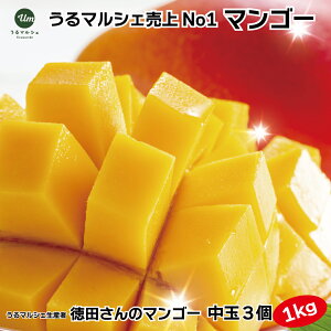 yӂ邳Ɣ[Łzy s\ 2026N zp}S[ 3 1kg ʌ ꌧY }S[ 1L lC ʕ t[c 蕨 p Y n}S[ ʕ 썑  t[c 