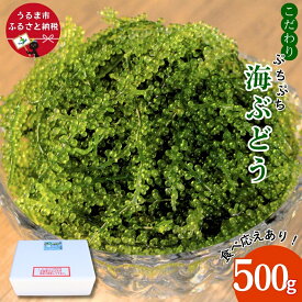 【ふるさと納税】こだわり海ぶどう 500g【うるま市産】沖縄 ふるさと納税 海ぶどう ぷちぷち 大容量 海の宝石 サラダ 海鮮丼