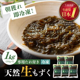 【ふるさと納税】 冷凍生モズク&もずくのたれセット 1kg もずく 沖縄 うるま市 たれセット 手軽 セット 生もずく モズク モズク 水雲 海藻 もずく フコイダン お取り寄せ おすすめ もずく酢 天ぷら 味噌汁 スープ 沖縄県産 沖縄県 1キロ