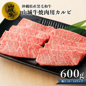 yӂ邳Ɣ[Łz јa R鋍 A5 A4 N ēp Jr 600g ʌ Jr ē Xe[L BBQ Jbg   ~ _炩 ē Ⓚ  