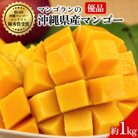 【ふるさと納税】【 先行予約 2027年発送 】高級贈答用 1kg 沖縄県産 マンゴー 1キロ 国産 完熟マンゴー 果物 南国 くだもの フルーツ 完熟 夏 旬 特産品 沖縄 取り寄せ 産地直送 農家直送 甘い 濃厚 うるま市 マンゴラン