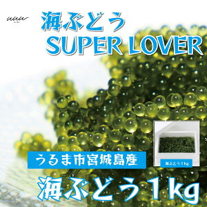 yӂ邳Ɣ[ŁzCԂǂSuperLover@e1kgpbNy2025N4菇z@@ӂ邳Ɣ[Ł@CԂǂ@ՂՂ@eʁ@T_@CN