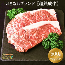 【ふるさと納税】おきなわブランド【超熟成牛】サーロインステーキ 500g（沖縄エージングカンパニー）