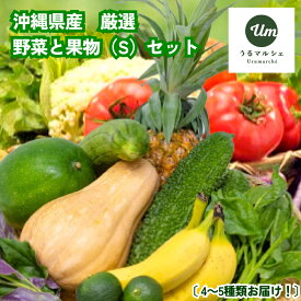 【ふるさと納税】うるま市を中心とした県産野菜・果物セット（S）【うるマルシェ厳選】