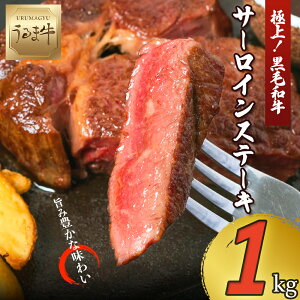 yӂ邳Ɣ[Łzјa ܋ T[C Xe[L e 1kg oY  ɏ  uh  _炩 Ԑg  Xe[L BBQ Y lC Ⓚ  