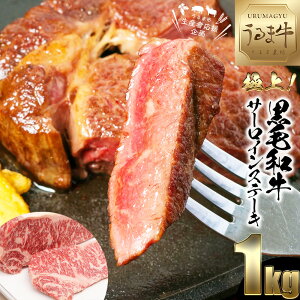 yӂ邳Ɣ[Łzјa ܋ T[C Xe[L e 1kg oY  ɏ  uh  _炩 Ԑg  Xe[L BBQ Y lC Ⓚ  
