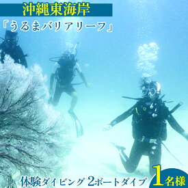 【ふるさと納税】沖縄東海岸「うるまバリアリーフ」で体験ダイビング　（1名様）