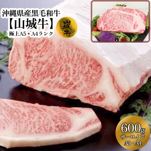 yӂ邳Ɣ[Łz јa R鋍 A5 A4 N T[C 600g ʌ Jr ē Xe[L BBQ Jbg   ~ _炩 ē Ⓚ  