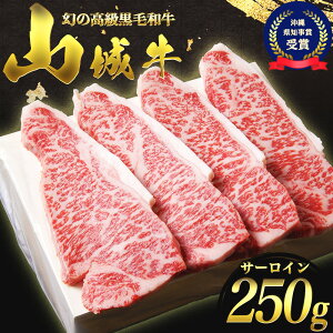 yӂ邳Ɣ[Łz јa R鋍 T[C Xe[LJbg 250g ʌ Jr  ē Xe[L BBQ Jbg   ~ _炩 ē Ⓚ  