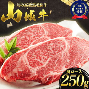 yӂ邳Ɣ[Łz јa R鋍 [X Xe[LJbg 250g ʌ Jr  ē Xe[L BBQ Jbg   ~ _炩 ē Ⓚ  