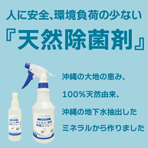 yӂ邳Ɣ[ŁzLIp[yꌧYzۃXv[i480ml×2{j