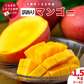 【ふるさと納税】沖縄県 うるま市産 完熟 マンゴー 訳あり品 1.5kg