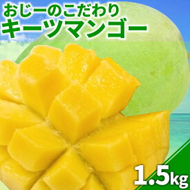 【ふるさと納税】おじーのこだわりキーツマンゴー（約1.5Kg）【2024年発送】