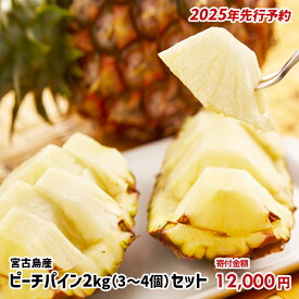 【ふるさと納税】《先行予約》【2025年発送】宮古島産ピーチパイン 2kg（3〜4個）セット《金ちゃん農園》(AK107) | ピーチパイン 果物 フルーツ パインアップル パインナップル 人気 おすすめ 送料無料 沖縄 宮古島