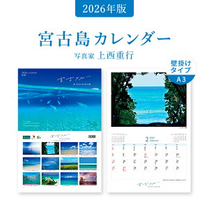 yӂ邳Ɣ[Łzꌧ{Ó Ǌ|J_[ 2025 A4TCY iǊ|A3jb{Ãu[yʐ^ 㐼dszMtg v[g lC   썑  {Ó