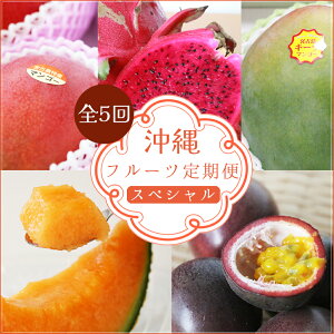 yӂ邳Ɣ[Łzy5 SPR [Xzt[cց^ E pbV E }S[}VFꌧ{ÓiAR233j