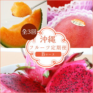 【ふるさと納税】【3回定期便 Bコ ース】フルーツ定期便/メロン・ マンゴー・ ドラゴン赤<琉球マルシェ>沖縄県宮古島(AR234)
