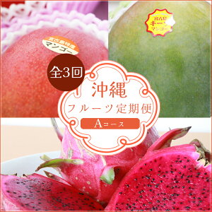 y3ց@AR[Xzt[c/}S[EL[cEhSԁ}VFꌧ{ÓiAR235j