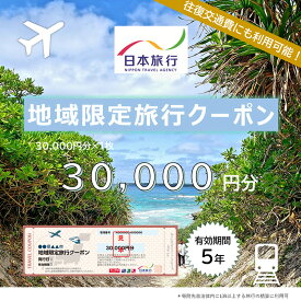 【ふるさと納税】沖縄県宮古島市　日本旅行　地域限定旅行クーポン30,000円分（JT002）