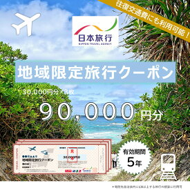 【ふるさと納税】沖縄県宮古島市　日本旅行　地域限定旅行クーポン90,000円分（JT004）