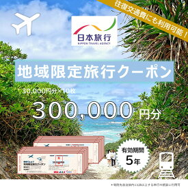 【ふるさと納税】沖縄県宮古島市　日本旅行　地域限定旅行クーポン300,000円分（JT006）