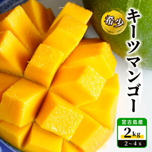 yӂ邳Ɣ[Łzss\ 2026Nt{ÓY  L[c}S[2kgy()tz(JH014j