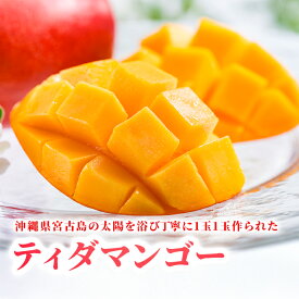【ふるさと納税】沖縄県宮古島・完熟マンゴー2kg【ご家庭用】ティダマンゴー宮古島農園（AI003）