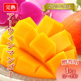 【ふるさと納税】【先行予約】＜2025年発送＞いらぶ島マンゴー園　宮古島産“完熟アーウィンマンゴー”《贈答用》1kg（HR03）