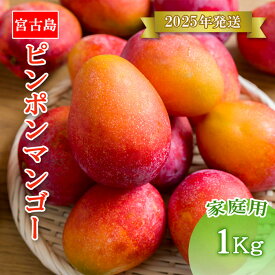 【ふるさと納税】【先行予約】＜2025年発送＞ いらぶ島マンゴー園　宮古島産“ピンポンマンゴー”家庭用 / 訳アリ(1kg）(HR02）｜マンゴー 訳アリ 訳あり 沖縄県 宮古島 送料無料 ピンポンマンゴー