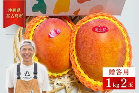 【ふるさと納税】【2025年先行予約】【檬果家】マンゴー好き必見！沖縄限定　希少品種【夏小紅】1kg2玉　贈答用（HZ001）