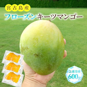 yӂ邳Ɣ[Łzt[YL[c}S[ s}Ⓚt600giFU007j